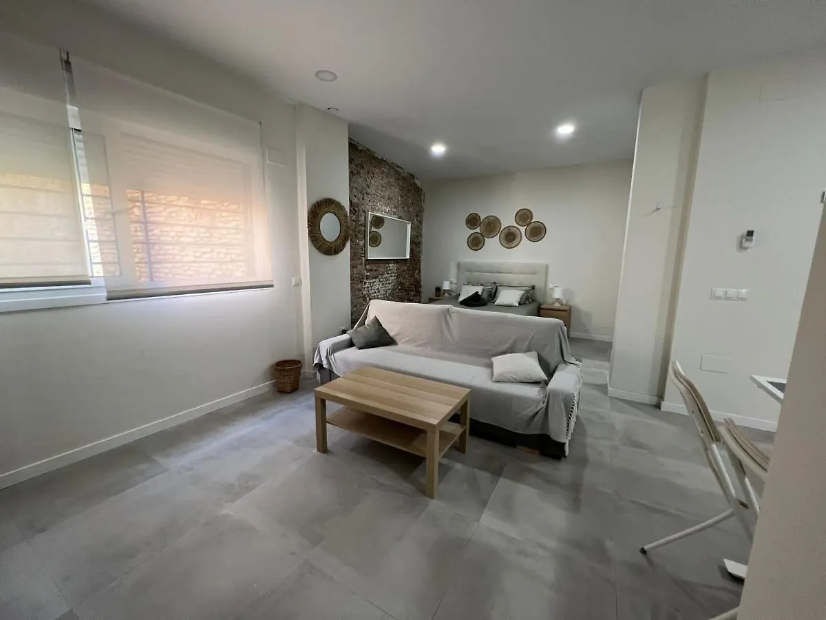 Estudio Trinidad Centro Malaga 2 Spagna